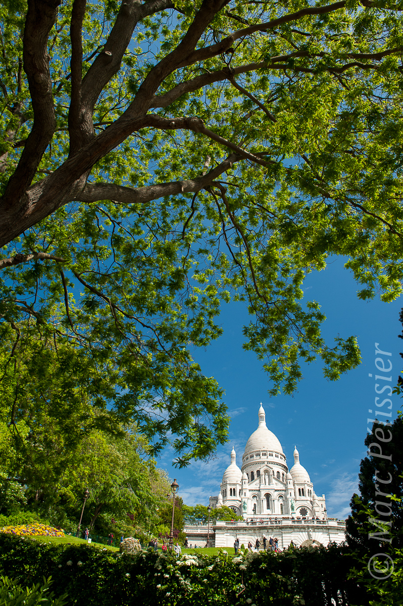 Spring in Montmartre