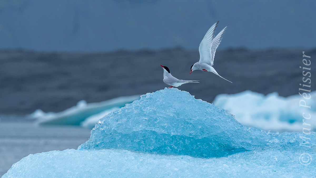 Dancing on ice